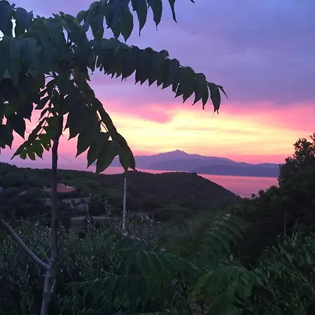 Casina Innamorata Tra Natura E Mare - Elba Affitti Lägenhet *