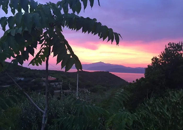 Casina Innamorata Tra Natura E Mare - Elba Affitti Lägenhet *